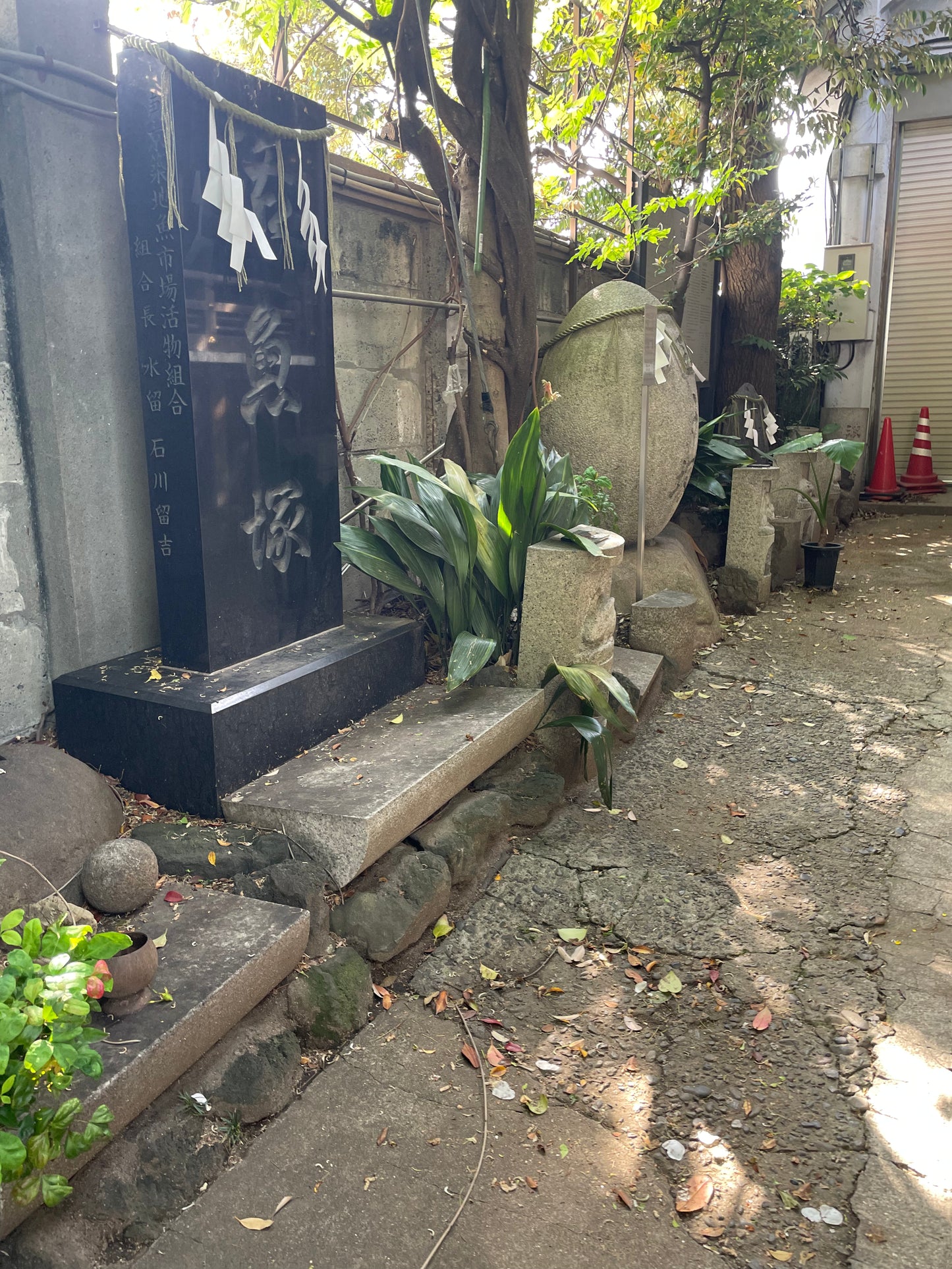 Beyond-Tour: Foodie Walk at Tsukiji Old Market (Max 3people)